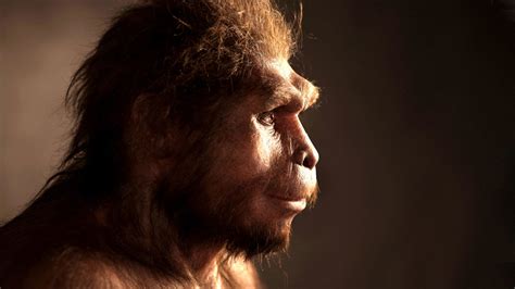 100,000 years ago, Indonesia was once home to this ancient human species - Science