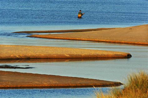 Lake Michigan Fishing: All There is to Know - Wide Open Spaces