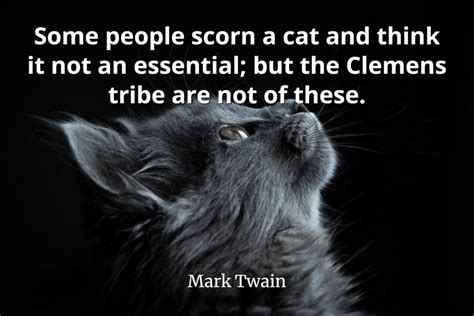 QuotePics.com | Don't Scorn a Cat | QuotePics.com