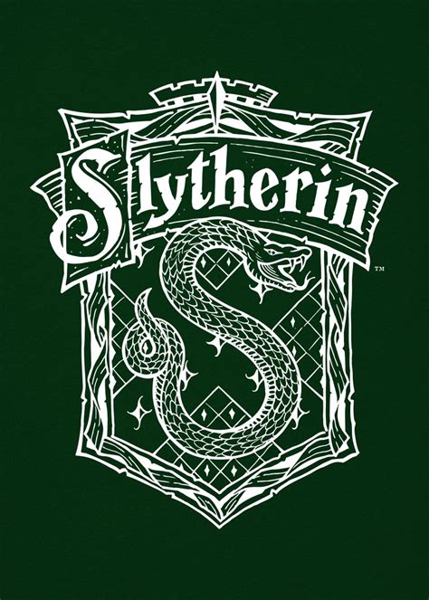 'Slytherin Crest' Poster, picture, metal print, paint by Wizarding World | Displate