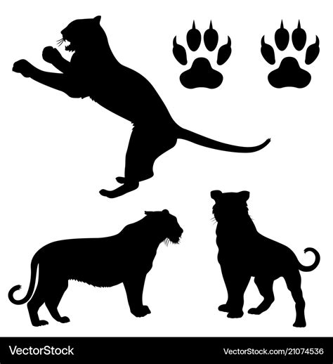 Tiger silhouette Royalty Free Vector Image - VectorStock