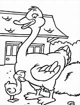Duck Farm coloring Page  Download Print Or Color Online For Free sketch template