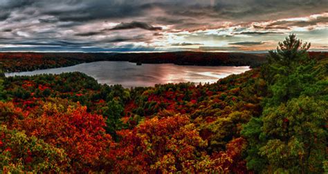 Dorset Lookout Tower Trail - Discover Muskoka: Plan Your Trip