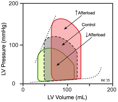 CV Physiology | Interdependent Effects of Preload, Afterload and Inotropy on Ventricular ...