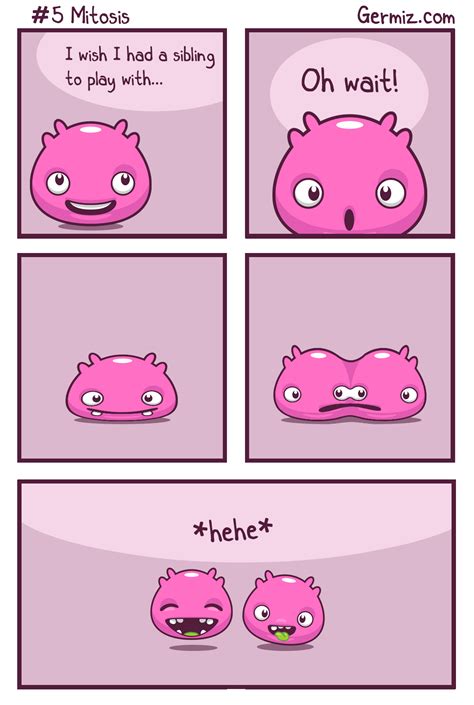 Mitosis [OC] : comics