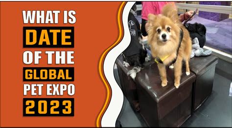 What Is The Date Of The Global Pet Expo 2023 - PetToysChina