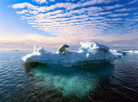 Limiting global warming to 1.5 degrees is not plausible - Earth.com