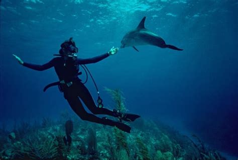 Dr. Sylvia Earle's Mission Blue Campaign & Netflix Documentary ...