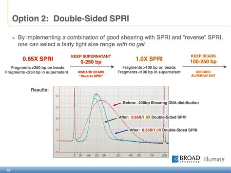 How do SPRI beads work? - Enseqlopedia