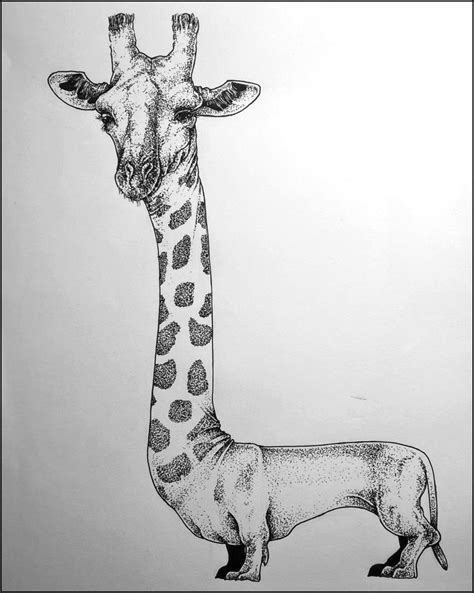 Hybrid Animals Drawings