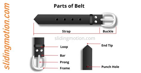 Guide for 8 Parts of Belt & Buckle: Names, Functions & Diagram