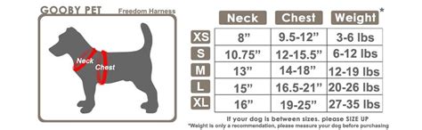 Amazon.com : Gooby Choke Free Freedom Harness II for Small Dogs, Sky Blue, XS : Pet Supplies