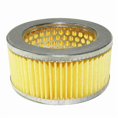 Buy Interstate Pneumatics SA15F, Air Filter Element for SA15 - Mega Depot