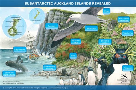 Subantarctic Auckland Islands revealed — Science Learning Hub