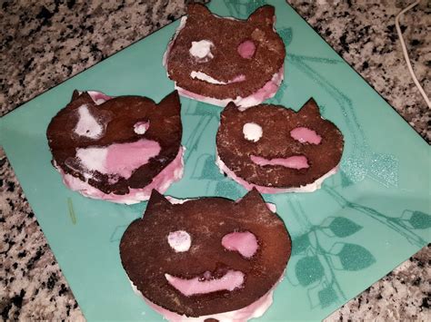 🐱Steven's homemade Cookie Cats🐱 | Steven Universe Amino