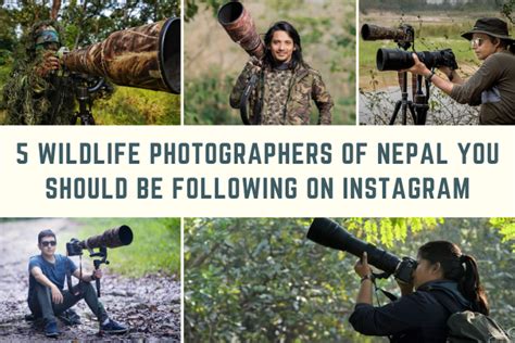 5 Wildlife Photographers of Nepal you should be following on Instagram ...