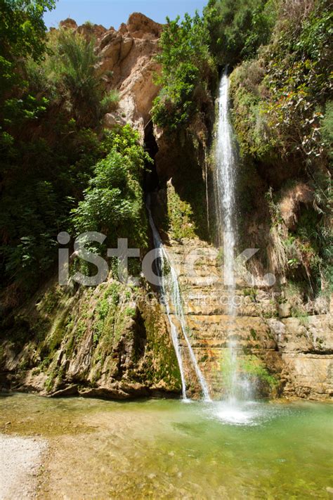 Waterfall IN National Park En Gedi, Israel stock photos - FreeImages.com