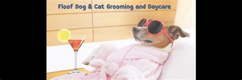 Floof Dog Cat Grooming and Daycare - Floof Dog & Cat Grooming And ...