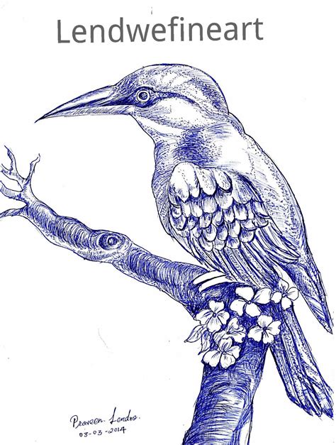 Bird pen Drawing ~ Lendwe Fine Art