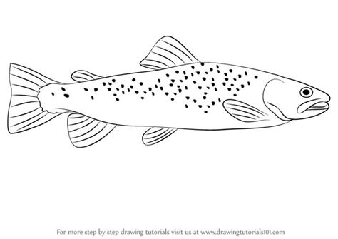 Learn How to Draw a Brown Trout (Fishes) Step by Step : Drawing Tutorials | Fische zeichnen ...