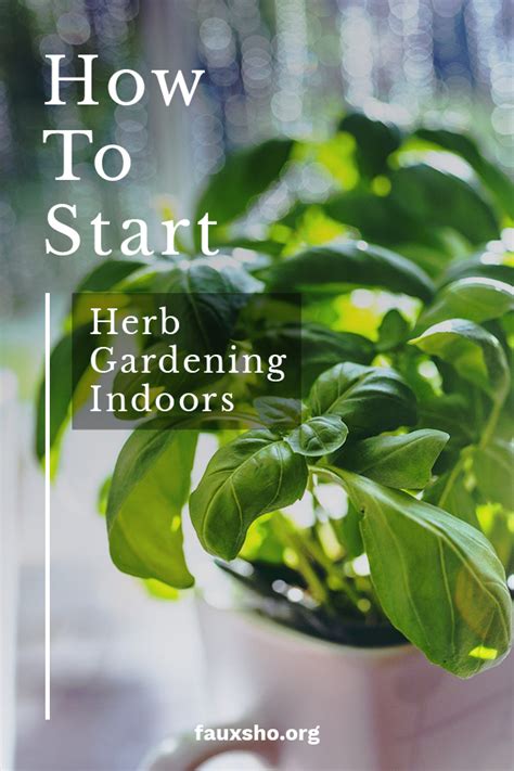 How to Start Herb Gardening Indoors | Faux Sho