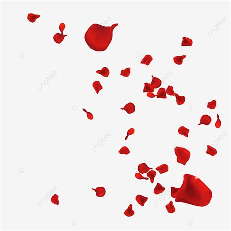 Petals Falling Clipart Transparent PNG Hd, Red Rose Petals Falling And Flying, Rose, Petal ...