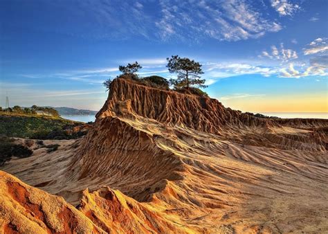 Torrey Pines State Natural Reserve Park | La Jolla, Ca.