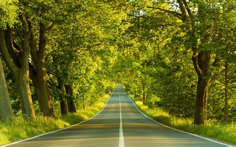 Road, Marking, Greens, Summer, Trees wallpaper - Coolwallpapers.me!