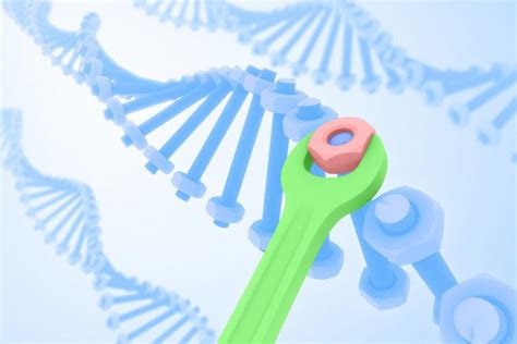 Report: Intricate process of DNA repair discovered — Tdnews | Tdnews