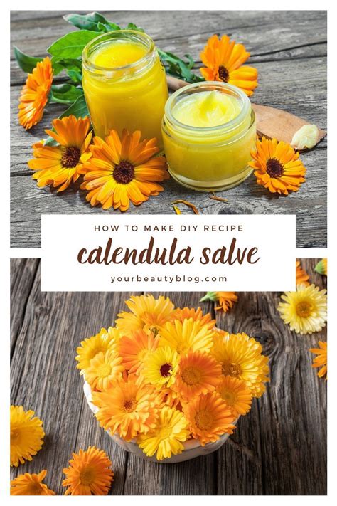 How to Make Calendula Salve With Coconut Oil and Essential Oils | Calendula salve, Natural acne ...