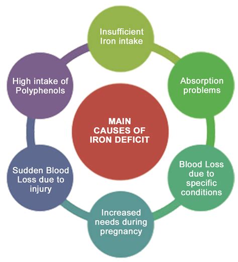 Main causes of Iron deficiency - Fortiferrum