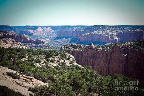 Arizona Desert Landscape by Ryan Kelly