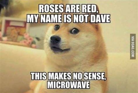 Pin by ReallyShyGirl on humor | Funny poems, Roses are red funny, Red roses