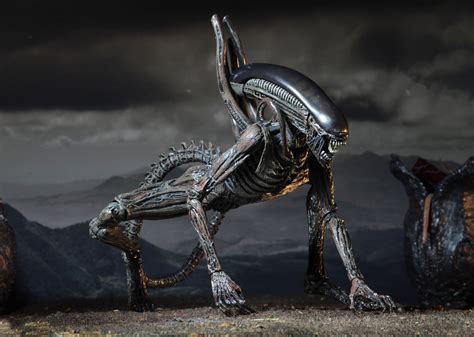 NECA Alien: Covenant Neomorph, Xenomorph, Chestburster figures unveiled! - Alien: Covenant Movie ...