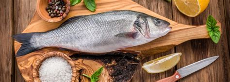 What is The Difference Between Seabass and Seabream?