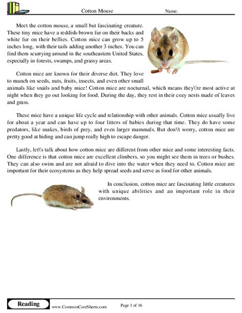 Cotton Mouse Worksheet Download