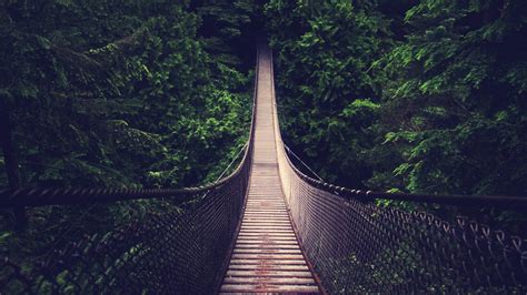 bridge, Forest Wallpapers HD / Desktop and Mobile Backgrounds