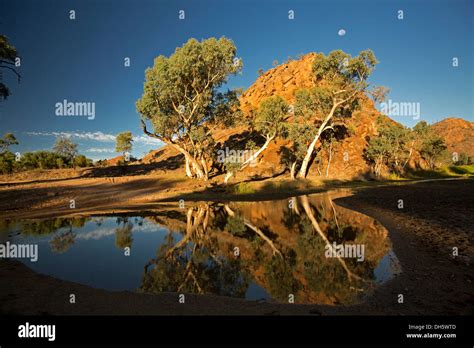 Australian outback landscape with ghost gums and rocks reflected in Stock Photo: 62210301 - Alamy