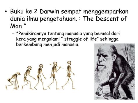 Sejarah Evolusi Manusia – Sinau