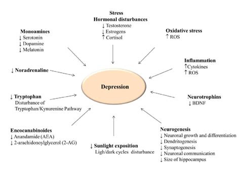 Biological markers of depression. (ROS, reactive oxygen species, BDNF ...