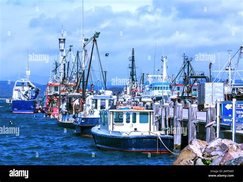 Fishing boats lined up at Eden Wharf after unloading their catch Stock Photo - Alamy