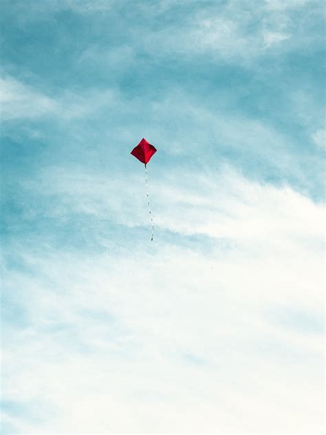 A Kite in the Sky · Free Stock Photo