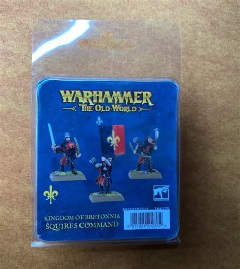 WARHAMMER THE OLD World Kingdom Of Bretonnia Squires Command Metal NEUF EUR 49,73 - PicClick FR