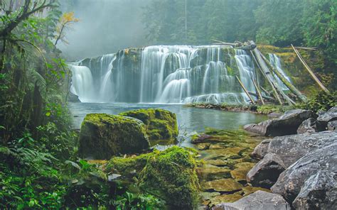 ArtStation - Rain Forest Waterfall