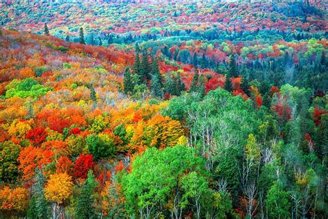 View from Oberg Mountain, Tofte, MN | Beautiful nature, Landscape ...