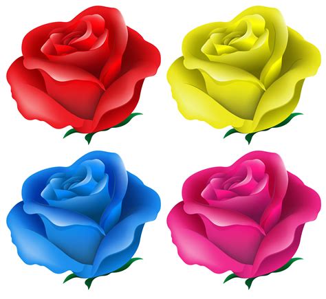 Blue Rose Vector Art, Icons, and Graphics for Free Download