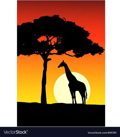 African Sunset Silhouette Giraffe