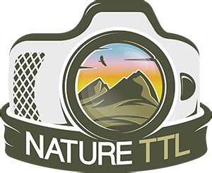 Nature photography tips tutorials – Artofit