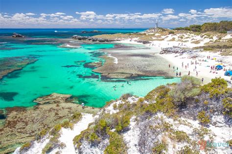 Why Rottnest Island Should Be On Your Australian Bucket List