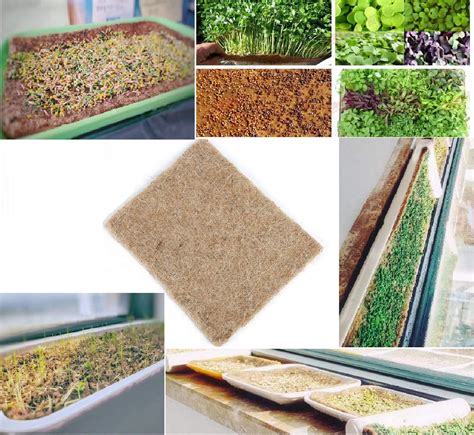 Sprouts Terrafibre Hemp Grow Mat Fits 5 by 5 Growing Tray or 8 in a Standard 10 X 20 Germination ...